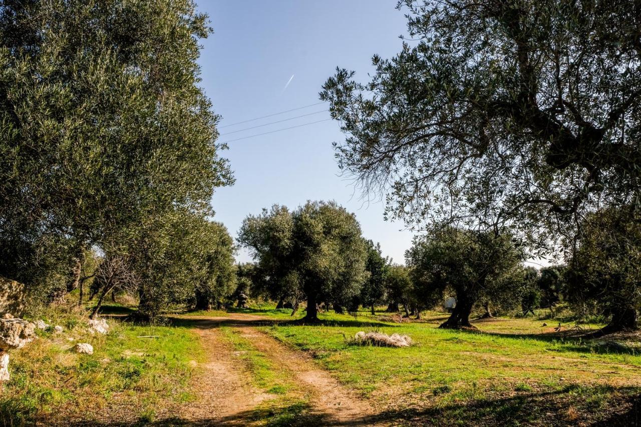 Masseria D'Erchia Hotel Monopoli Eksteriør billede